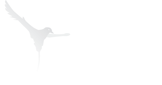 Membre CLUSIR